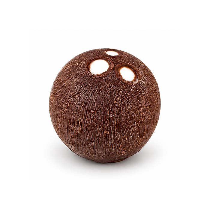 Kokos