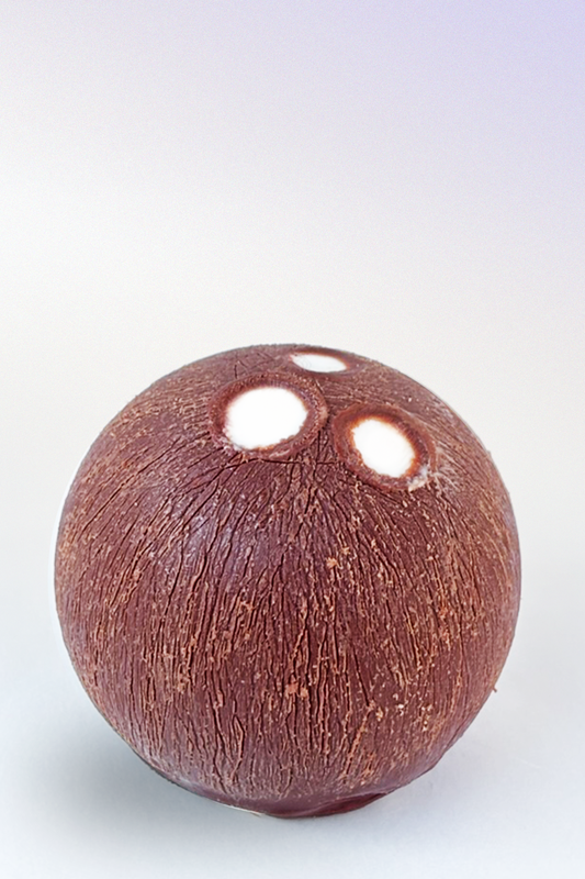 Kokos